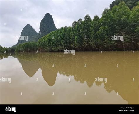 來賓有多少個鎮：關於貴州省來賓市各鎮的多元視角